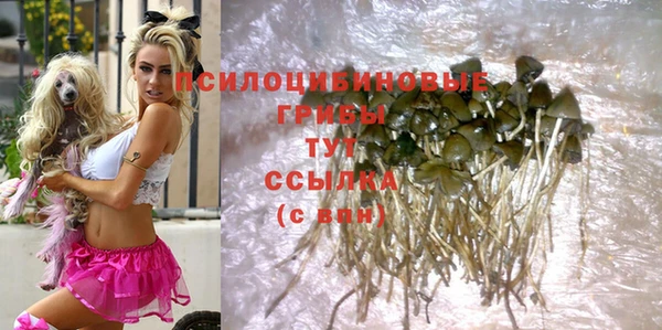 стаф Белоозёрский