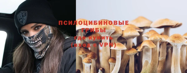ALPHA-PVP Медногорск
