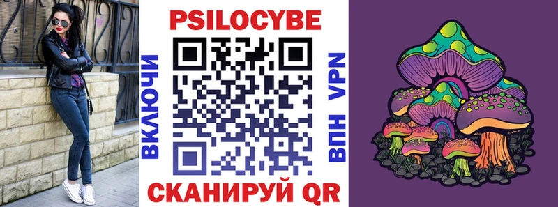 mega как зайти  Великий Устюг  Псилоцибиновые грибы Psilocybine cubensis 
