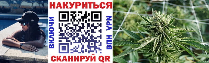 наркота  Великий Устюг  Каннабис Amnesia 
